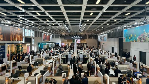 محافظ جنوب سيناء