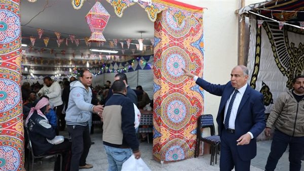 محافظ المنيا