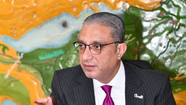 محافظ الفيوم: تشكيل