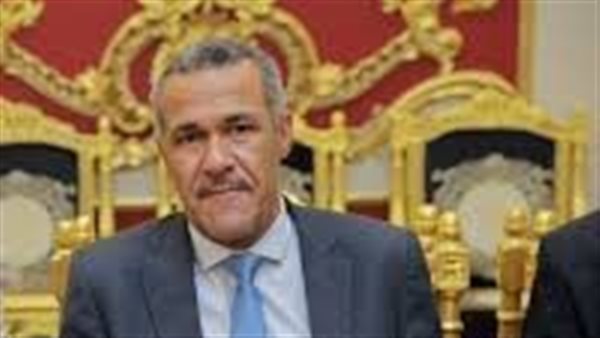 النائب ياسر نصر