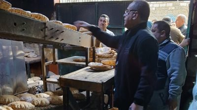 ضبط 2 طن لحوم ودواجن غير صالحة وتحرير 330 مخالفة تموينية بالدقهلية