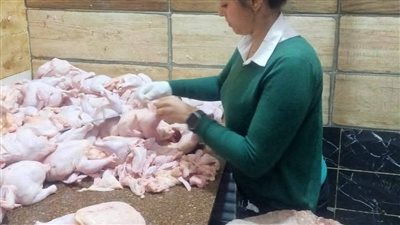 إعدام 2 طن دجاج نافق.. محافظ المنيا: تشديد الرقابة على الأسواق وضبط لحوم غير صالحة للاستهلاك الآدمي