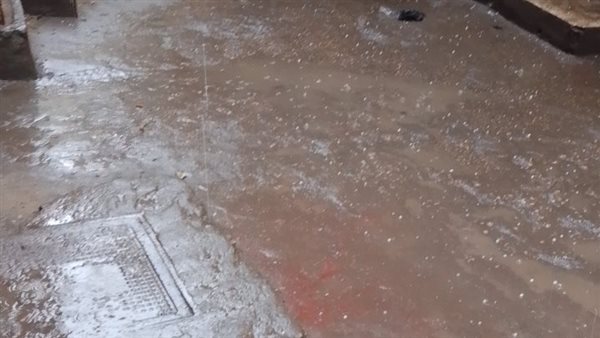 جانب من الثلوج 