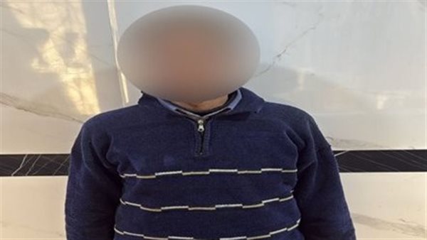 قائد السيارة 