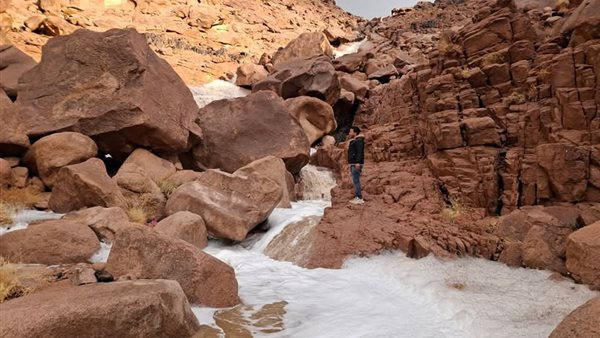 سيول كاترين أدت الى