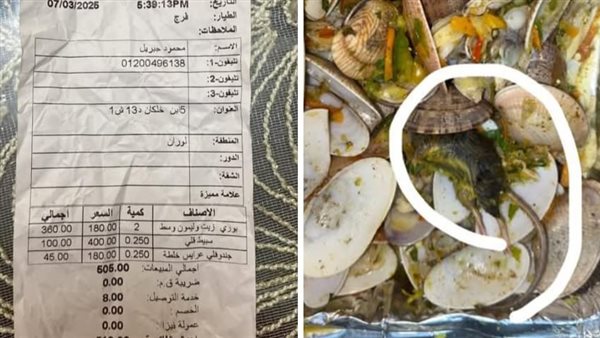 وجبة طعام - والفاتورة