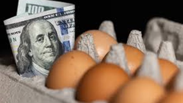 البيض - صورة أرشيفية