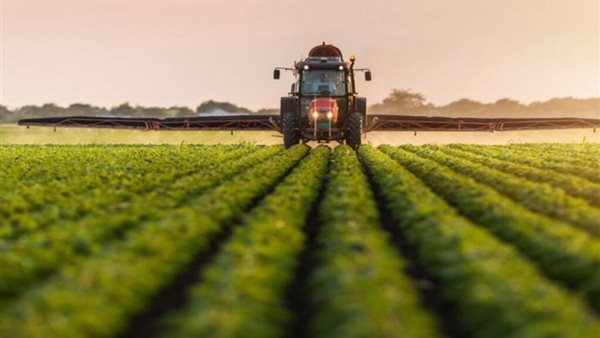 الدولية للمحاصيل