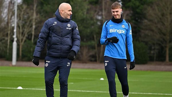 كول بالمر وإنزو ماريسكا