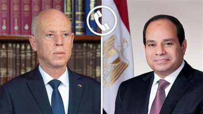 الرئيس السيسي ونظيره التونسي يؤكدان رفضهما تهجير الفلسطينيين وتصفية القضية