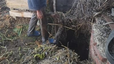 عمقها 17 مترًا.. مصرع 3 عمال سقطوا داخل بئر مياه بإحدى المزارع في المنيا | أسماء