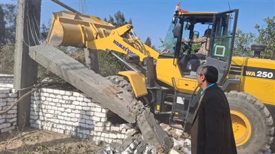 إزالة 25 حالة تعدٍ بإجمالي 1793 مترًا على أراضي أملاك الدولة بالبحيرة