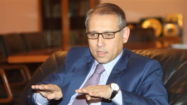 السفير المصري