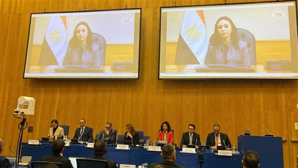 وزيرة التضامن