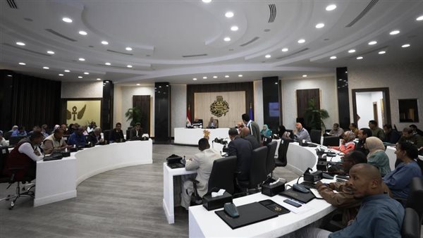 محافظ أسوان