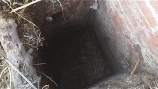 مصرع مزارع سقط فى