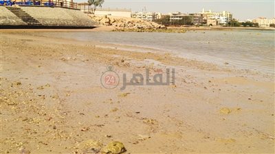تراجع مياه الشواطئ بالغردقة بسبب ظاهرة المد والجزر | صور