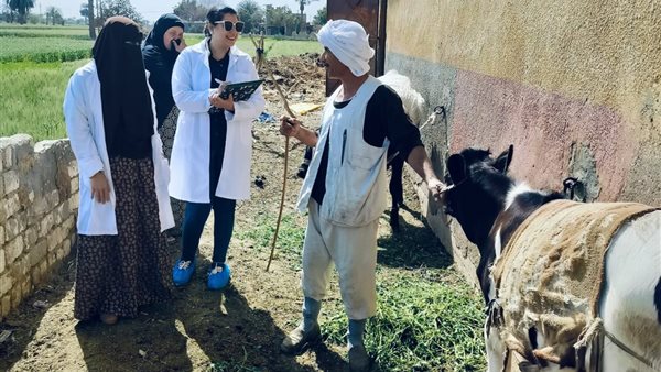 محافظ الفيوم يتابع