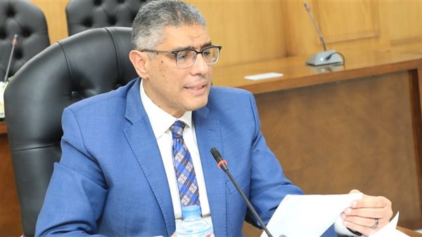 محافظ الجيزة