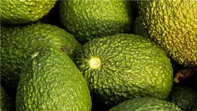 فوائد مذهلة لـ قشر الأفوكادو؟.. تعرف عليها