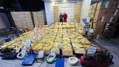 القبض على 3 تجار بحوزتهم 12 مليون قطعة ألعاب نارية بالفيوم 