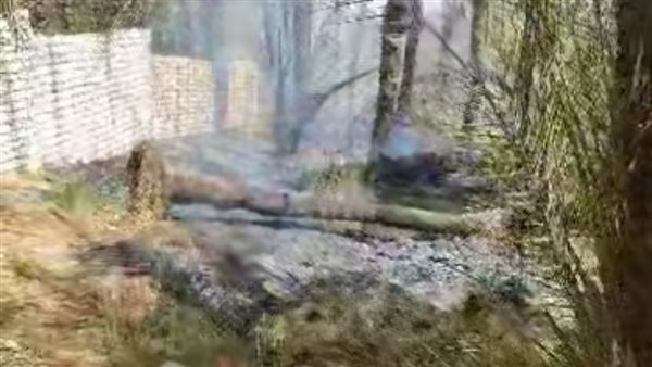 حريق بمزارع نخيل