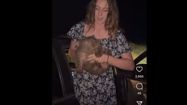 مؤثرة أمريكية 