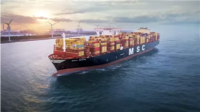 الرئيس التنفيذي للخط الملاحي MSC: لا نفضل طريق رأس الرجاء الصالح.. وننتظر استقرار الأوضاع للعبور من قناة السويس