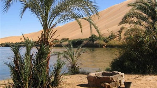 الواحات - أرشيفية