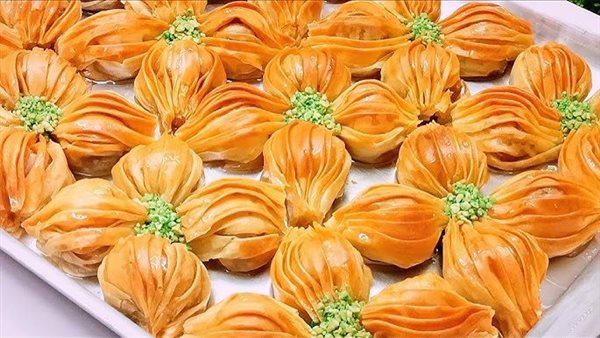 طريقة عمل الجلاش