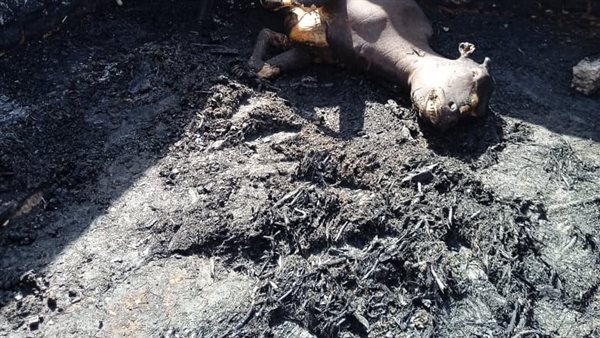 نشوب حريق في حوش