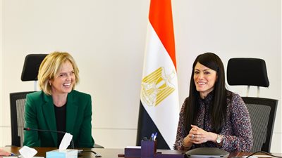 المشاط: دور محوري للتمويلات الميسرة من شركاء التنمية لدفع استثمارات شركة سكاتك بالطاقة المتجددة 