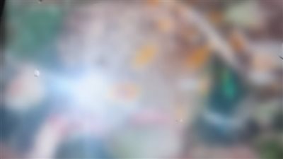 حملت سفاحا.. ضبط شاب وخطيبته بتهمة قتل رضيعتهما بإلقائها في ترعة بالمنوفية