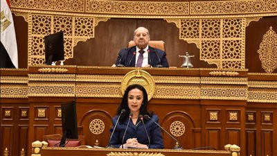 وزيرة التضامن: مضاعفة عدد الأسر المستفيدة من تكافل وكرامة إلى 4.7 مليون أسرة في 2025 