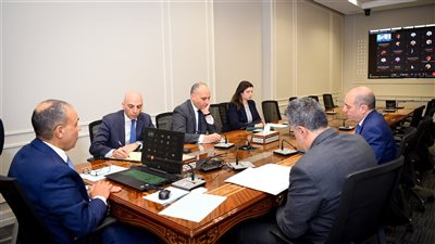 وزير الخارجية والهجرة يعقد اجتماعا افتراضيا مع سفراء مصر بالخارج