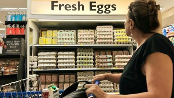 البيض في أمريكا وأوروبا