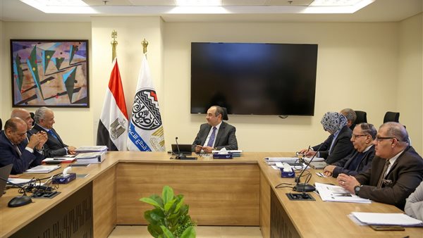 وزير قطاع الأعمال