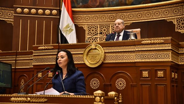 وزيرة التضامن الاجتماعي