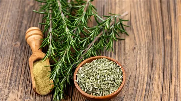  إكليل الجبل - صورة