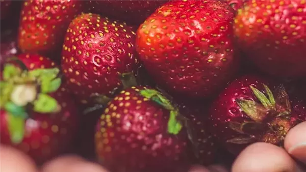 الفراولة - أرشيفية