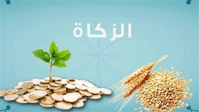 لمن تعطى زكاة الفطر وما شروط استحقاقها؟.. تعرف على آراء المذاهب الفقهية 
