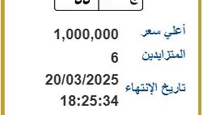 ج 55.. لوحة مرور مميزة بسعر مليون جنيه