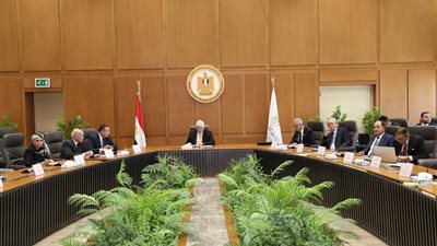 اختيار محمد نصر الدين رئيسًا لمجلس أمناء جامعة الإسكندرية الأهلية.. وهند حنفي نائبًا 