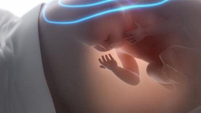 هل زكاة الفطر على الجنين في بطن أمه واجبة.. وكم تبلغ عن الرضيع والميت؟