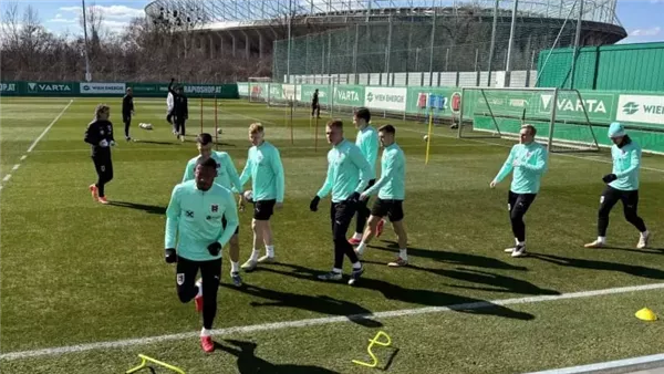 ديفيد ألابا مع منتخب