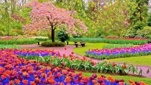 فصل الربيع - صورة