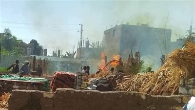 بسبب شدة الرياح.. نفوق 4 رؤوس ماشية إثر نشوب حريق بمنزل في قنا