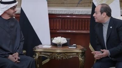 رئيس الإمارات يغادر مصر بعد لقائه الرئيس السيسي