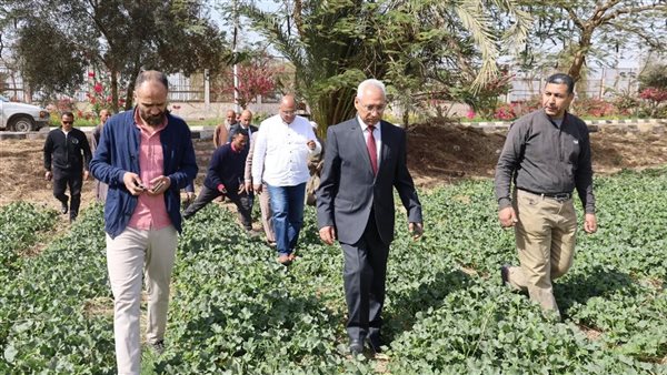 جامعة المنيا