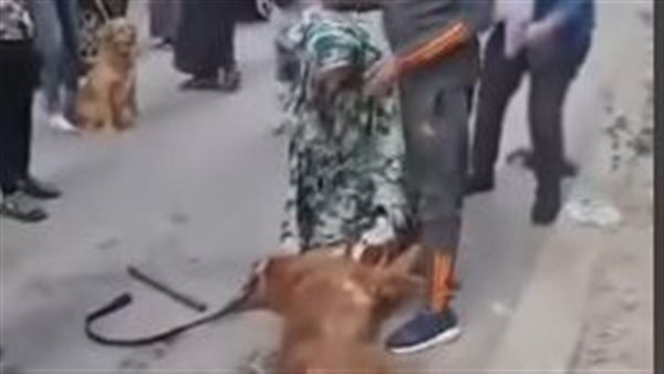 جانب من الفيديو